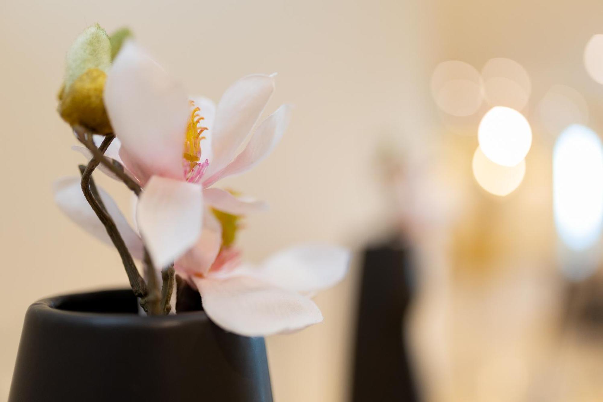 Hotel Ben Aouda & Spa Tipaza Εξωτερικό φωτογραφία